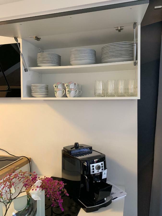 Luxus Appartement Bruehlervorstadt エアフルト エクステリア 写真